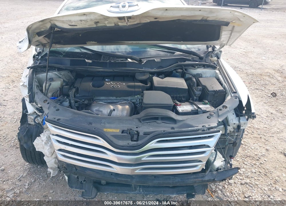 2009 TOYOTA VENZA VIN: 4T3ZE11A09U010560