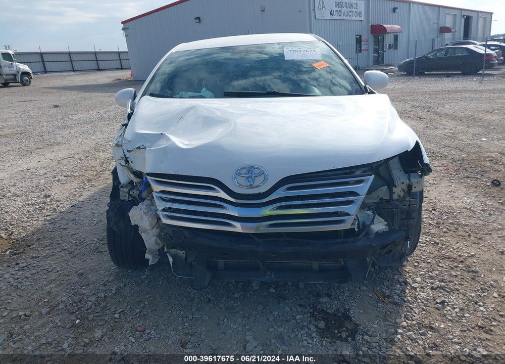 2009 TOYOTA VENZA VIN: 4T3ZE11A09U010560