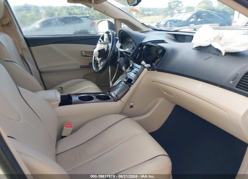 2009 TOYOTA VENZA VIN: 4T3ZE11A09U010560