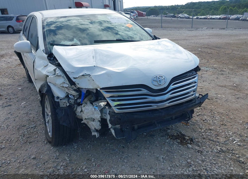 2009 TOYOTA VENZA VIN: 4T3ZE11A09U010560