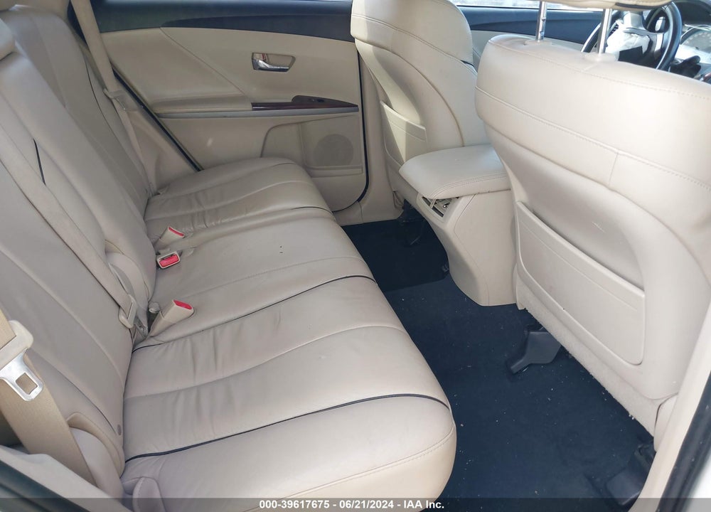 2009 TOYOTA VENZA VIN: 4T3ZE11A09U010560