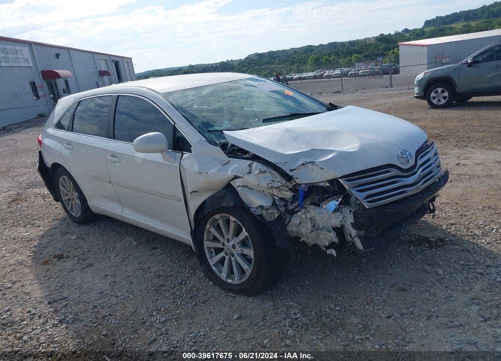 2009 TOYOTA VENZA VIN: 4T3ZE11A09U010560
