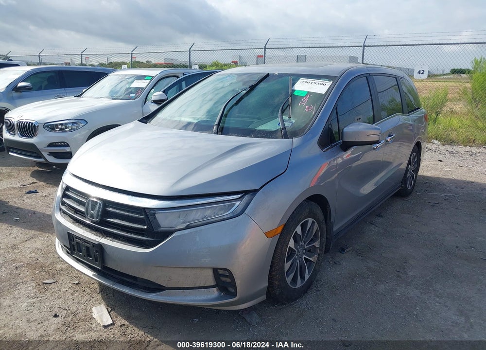 2024 HONDA ODYSSEY VIN: 5FNRL6H64RB012970
