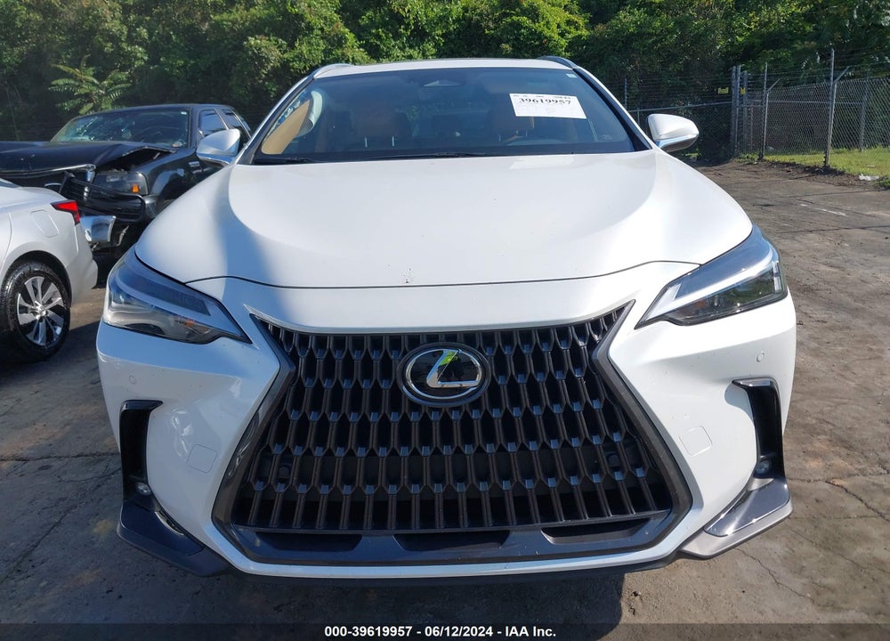 2024 LEXUS NX 250 PREMIUM VIN: JTJGDCAZXR5017824