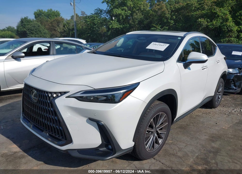 2024 LEXUS NX 250 PREMIUM VIN: JTJGDCAZXR5017824