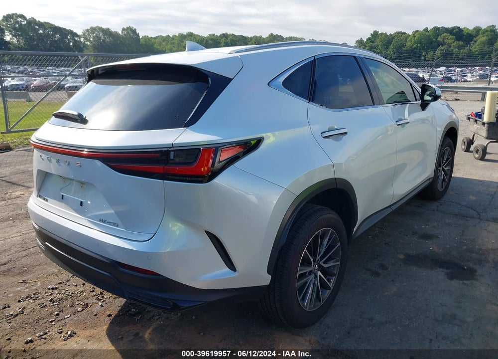 2024 LEXUS NX 250 PREMIUM VIN: JTJGDCAZXR5017824