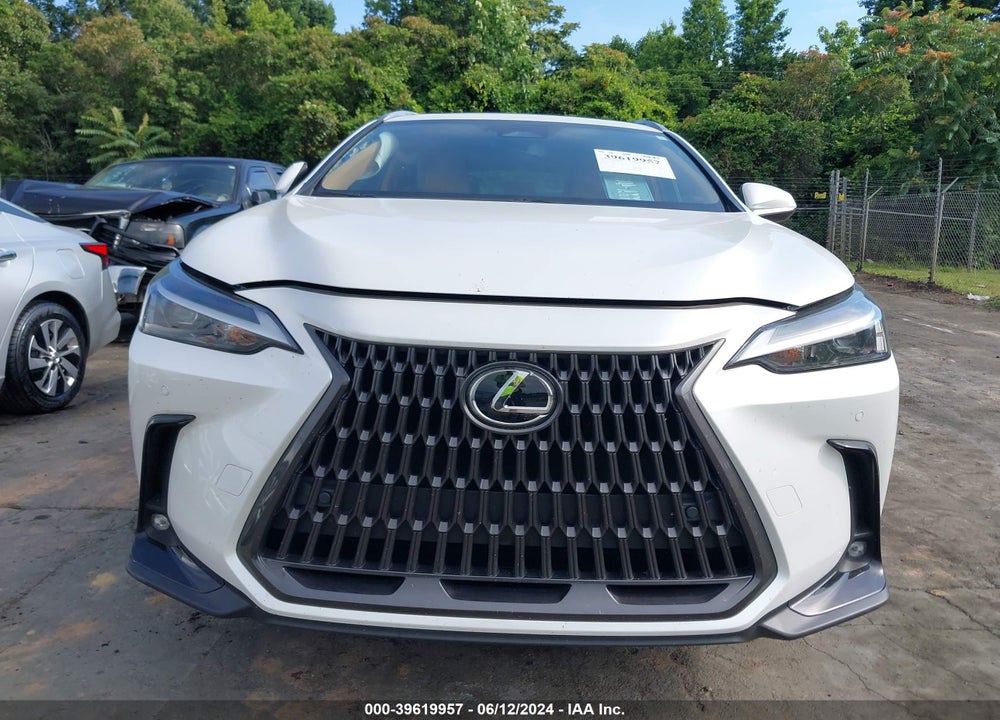 2024 LEXUS NX 250 PREMIUM VIN: JTJGDCAZXR5017824