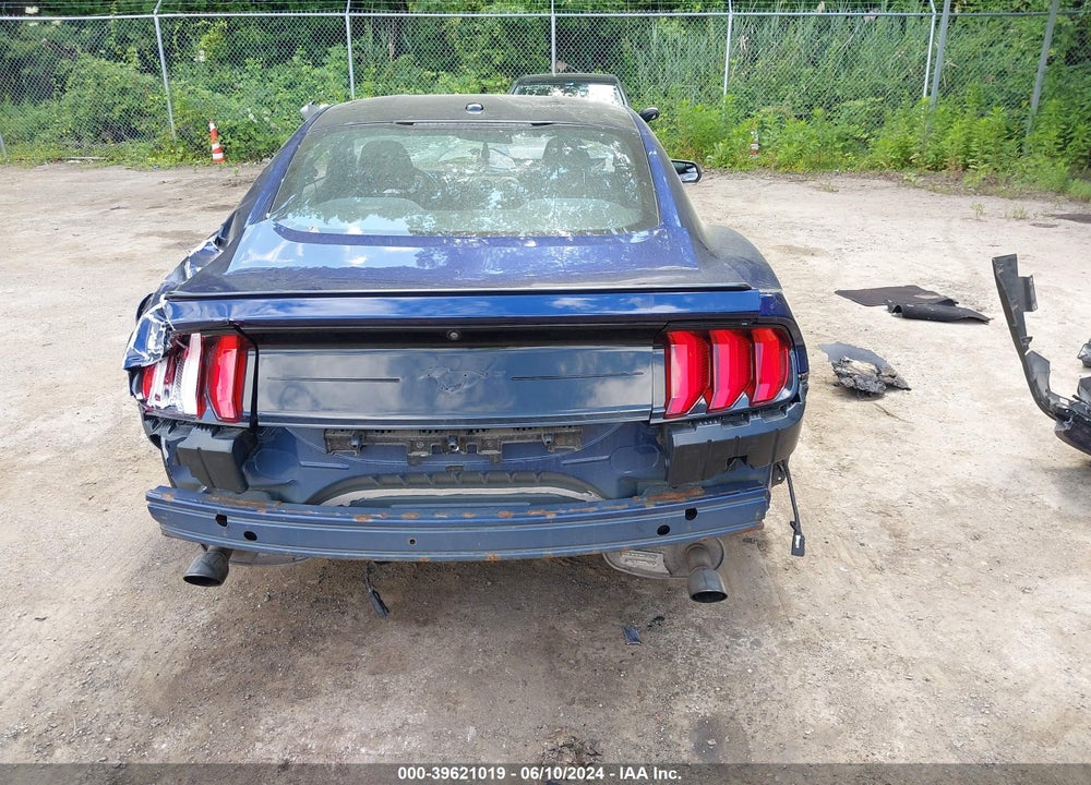 2019 FORD MUSTANG ECOBOOST VIN: 1FA6P8TH3K5141274