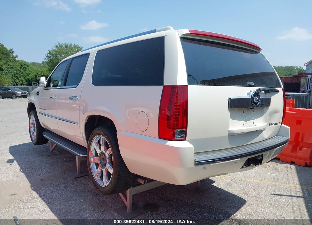 2007 CADILLAC ESCALADE ESV STANDARD VIN: 1GYFK66817R400217