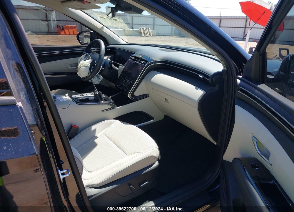 2024 HYUNDAI TUCSON LIMITED VIN: 5NMJE3DE5RH335037