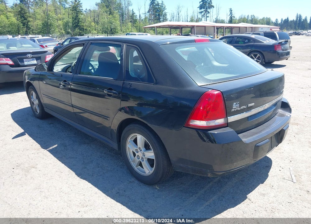 2004 CHEVROLET MALIBU MAXX LS VIN: 1G1ZT64804F182599