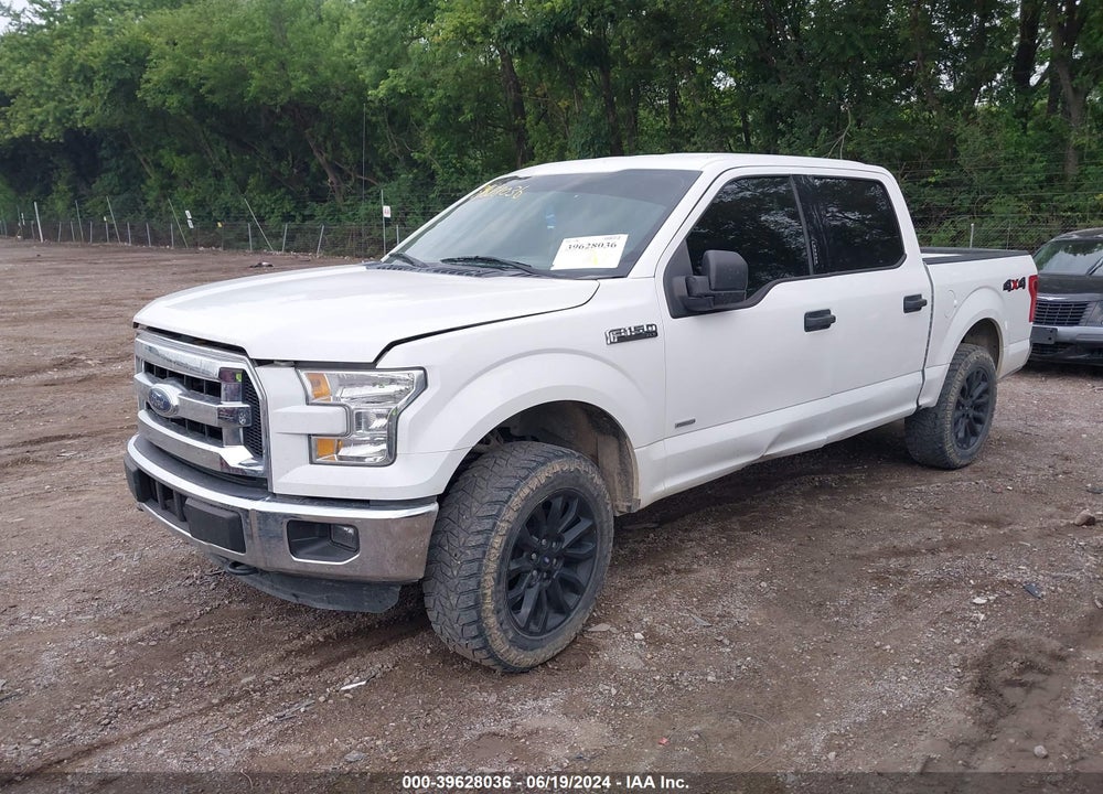 2015 FORD F-150 XLT VIN: 1FTEW1EP1FFA73304