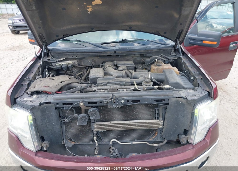 2010 FORD F-150 FX4/LARIAT/XL/XLT VIN: 1FTFX1EV0AFD01317