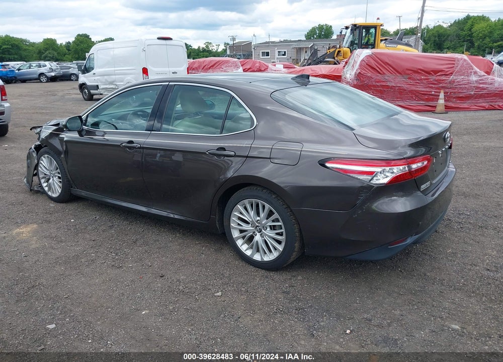 2019 TOYOTA CAMRY XLE VIN: 4T1B11HK2KU789356