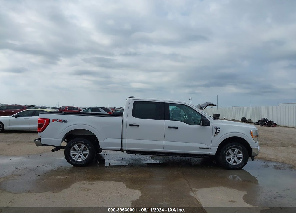 2021 FORD F-150 XLT VIN: 1FTFW1EDXMFD09715