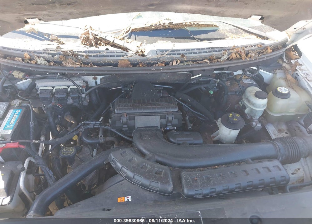 2006 FORD F-150 FX4/LARIAT/XL/XLT VIN: 1FTPX14546FA22482