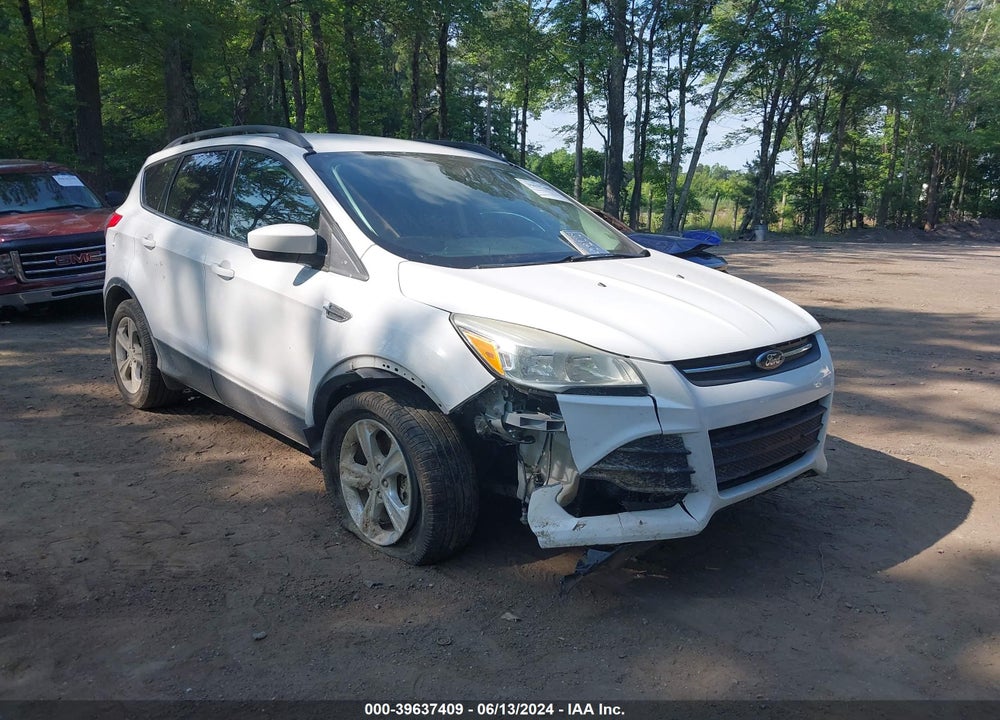 2015 FORD ESCAPE SE VIN: 1FMCU9G93FUB96572
