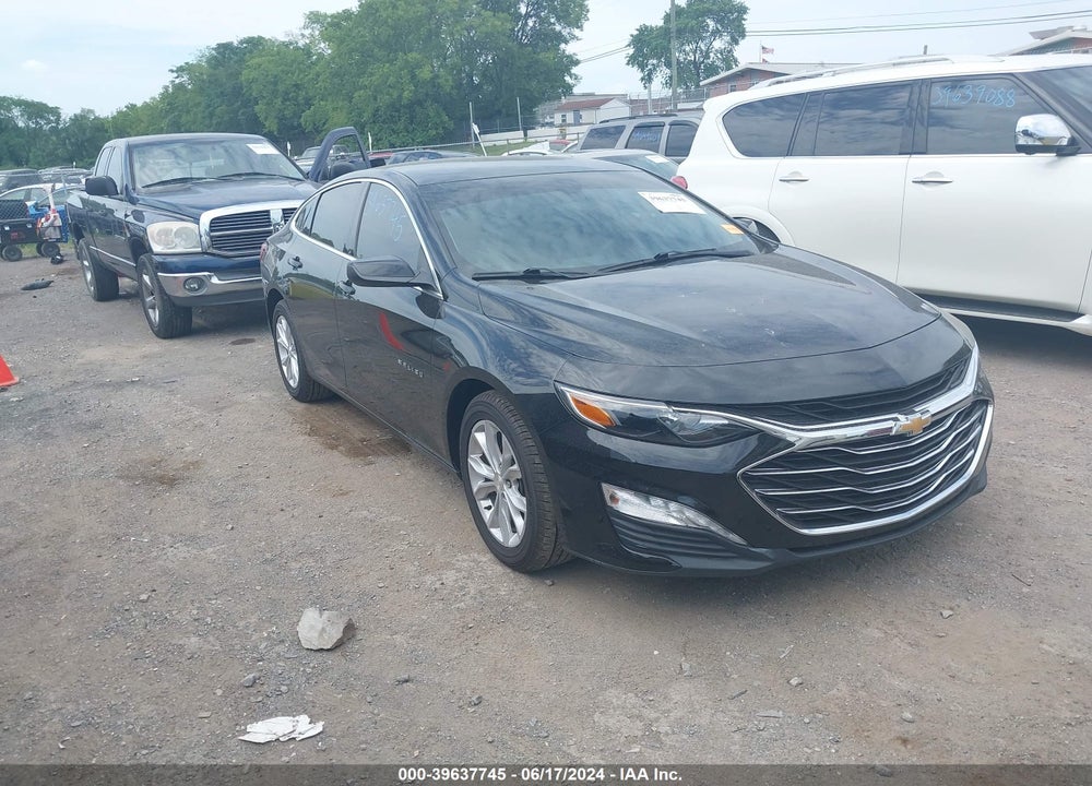 2019 CHEVROLET MALIBU LT VIN: 1G1ZD5ST1KF181893