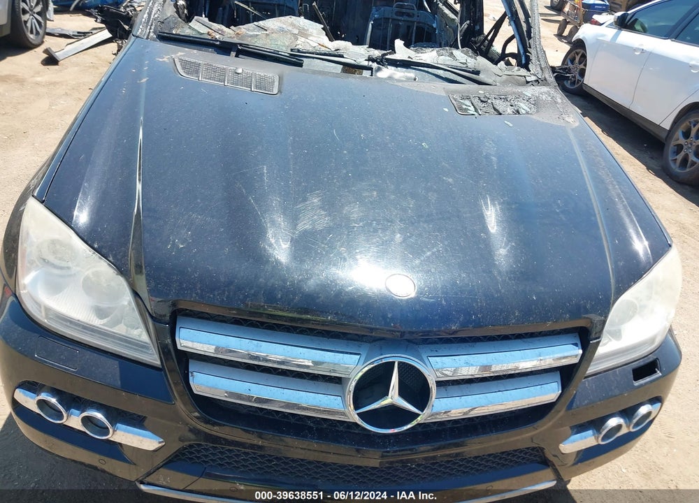 2010 MERCEDES-BENZ GL 450 4MATIC VIN: 4JGBF7BEXAA544005