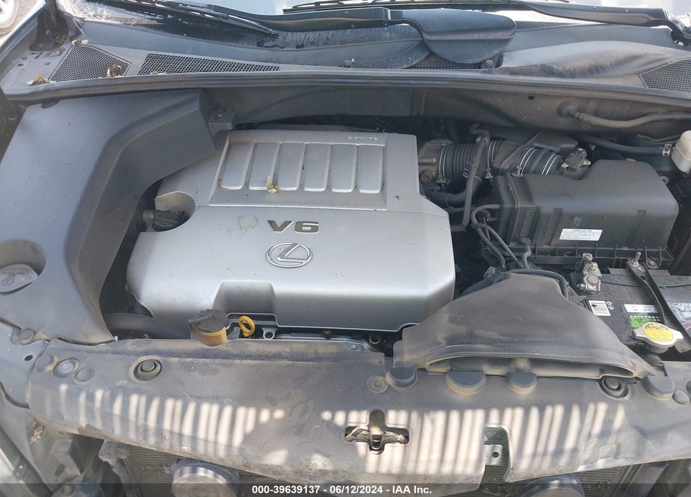2007 LEXUS RX 350 VIN: 2T2GK31U97C021193
