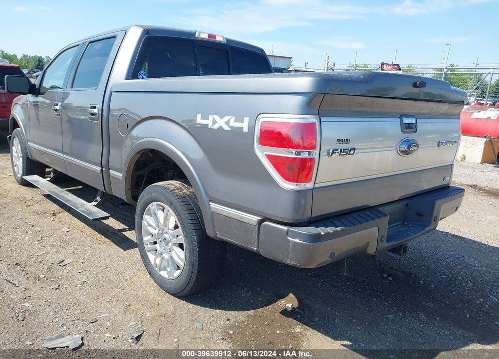 2010 FORD F-150 VIN: 1FTFW1EV1AFD51484