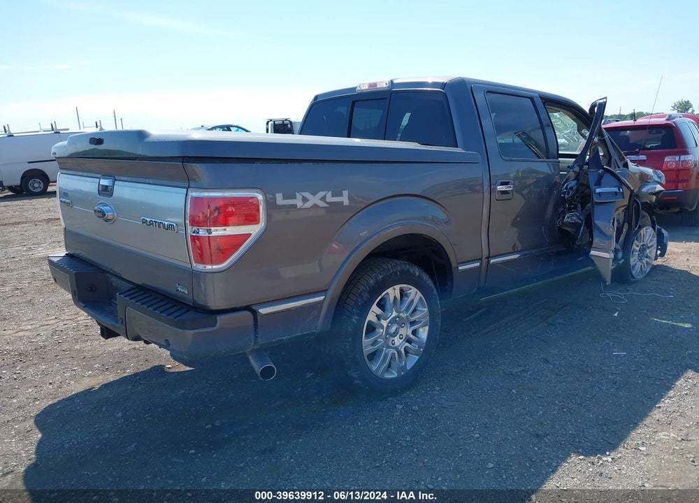 2010 FORD F-150 VIN: 1FTFW1EV1AFD51484