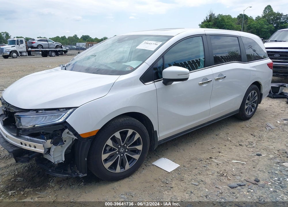 2024 HONDA ODYSSEY EX-L VIN: 5FNRL6H66RB002845