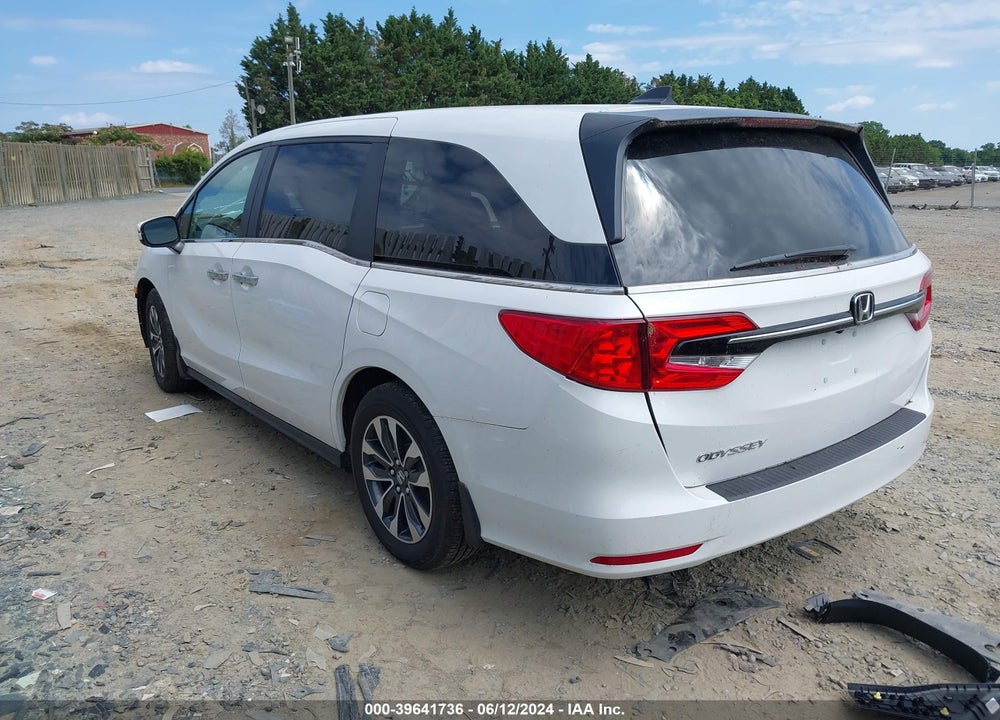 2024 HONDA ODYSSEY EX-L VIN: 5FNRL6H66RB002845