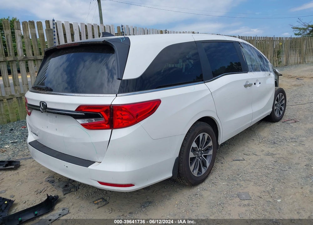 2024 HONDA ODYSSEY EX-L VIN: 5FNRL6H66RB002845