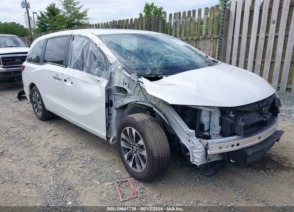 2024 HONDA ODYSSEY EX-L VIN: 5FNRL6H66RB002845