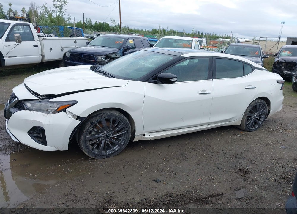 2019 NISSAN MAXIMA 3.5 PLATINUM VIN: 1N4AA6AV7KC365233