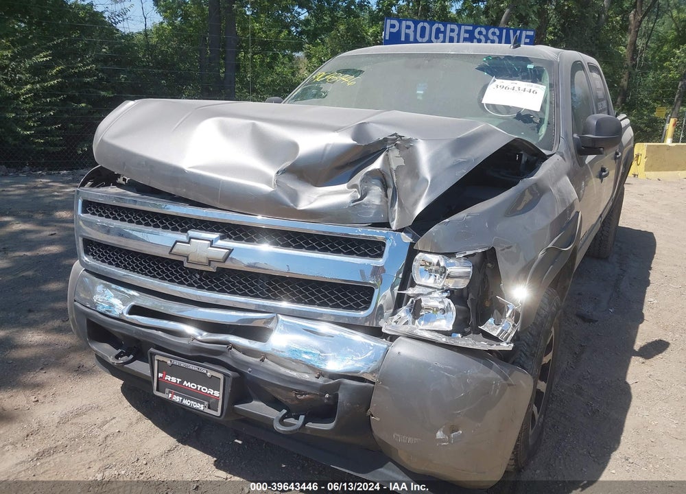 2009 CHEVROLET SILVERADO 1500 LS VIN: 3GCEK13C69G190665