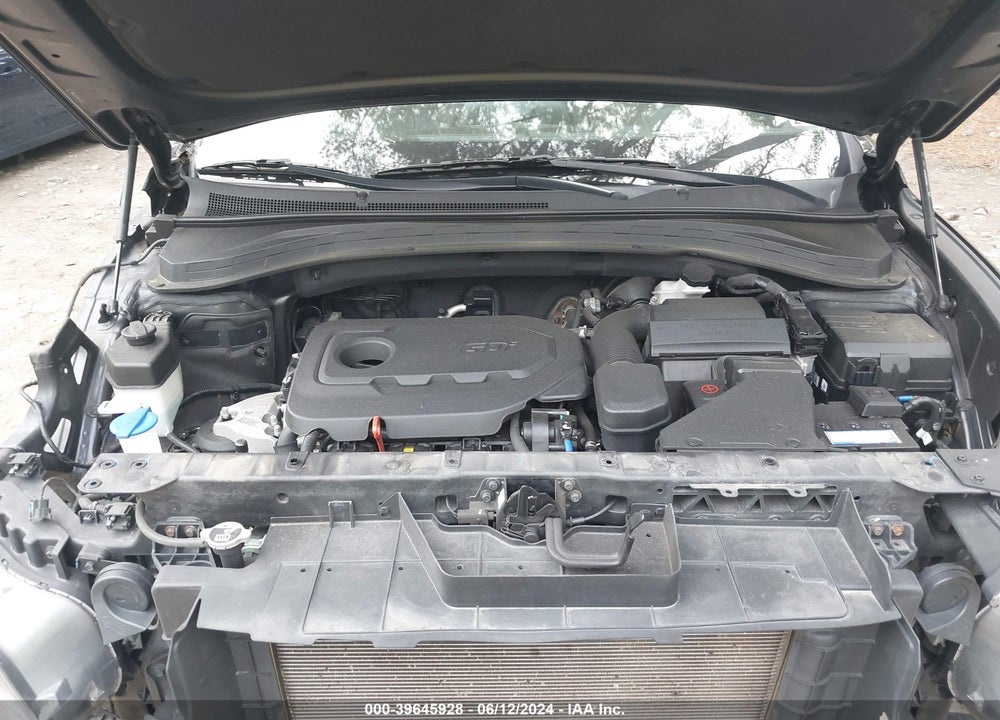 2019 HYUNDAI SANTA FE ULTIMATE VIN: 5NMS5CAD5KH083487