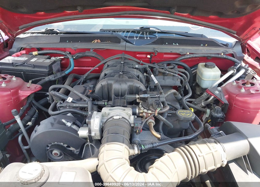 2005 FORD MUSTANG VIN: 1ZVFT84N955188241