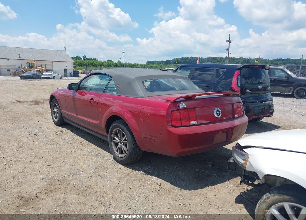 2005 FORD MUSTANG VIN: 1ZVFT84N955188241