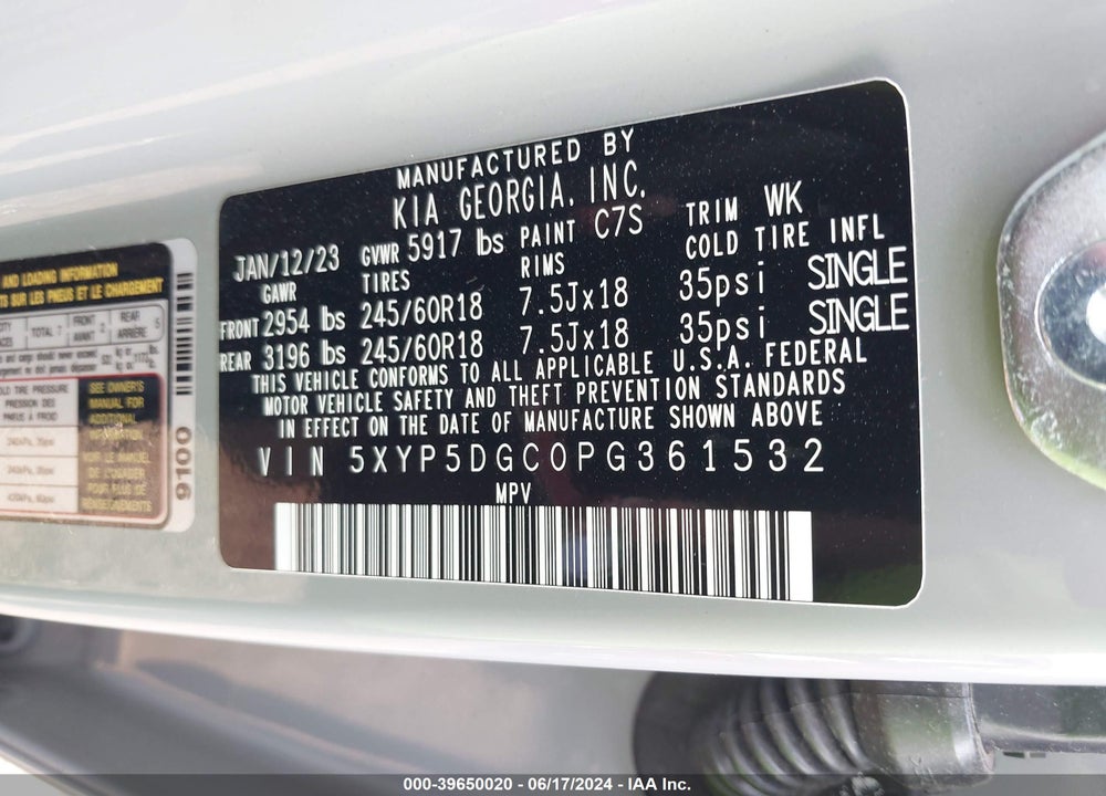 2023 KIA TELLURIDE SX X-PRO VIN: 5XYP5DGC0PG361532