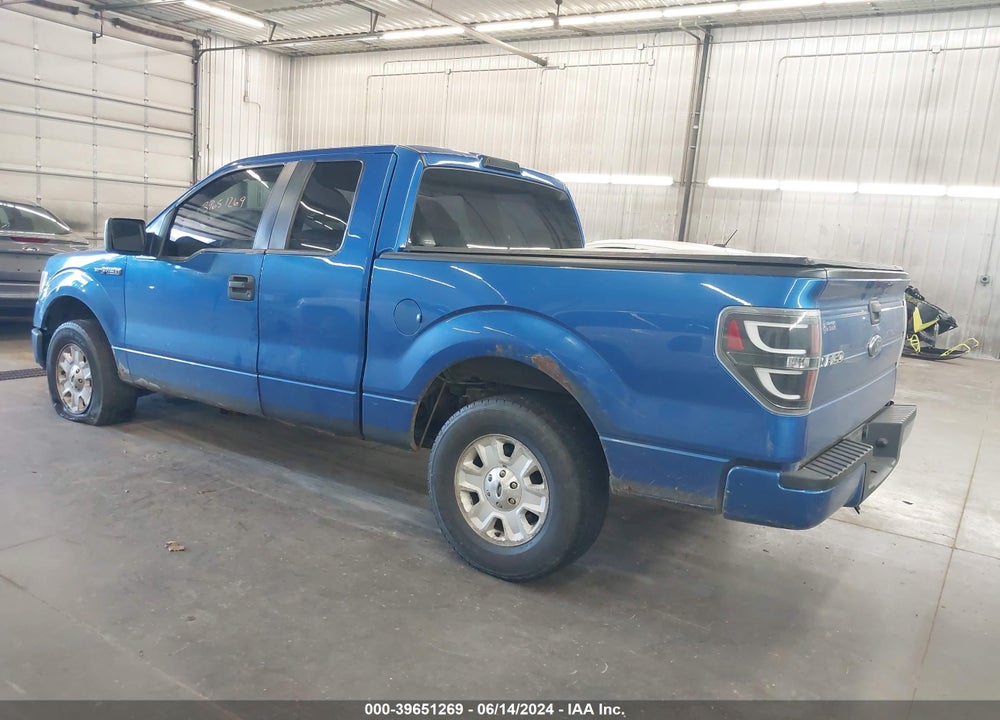 2009 FORD F-150 STX/XL VIN: 1FTRX12WX9FA78077