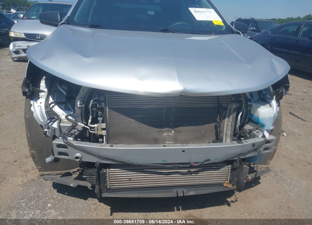 2019 CHEVROLET EQUINOX LS VIN: 2GNAXHEV3K6300569