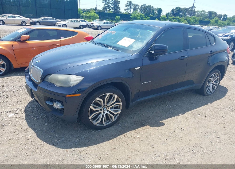 2009 BMW X6 XDRIVE50I VIN: 5UXFG83559LZ94294