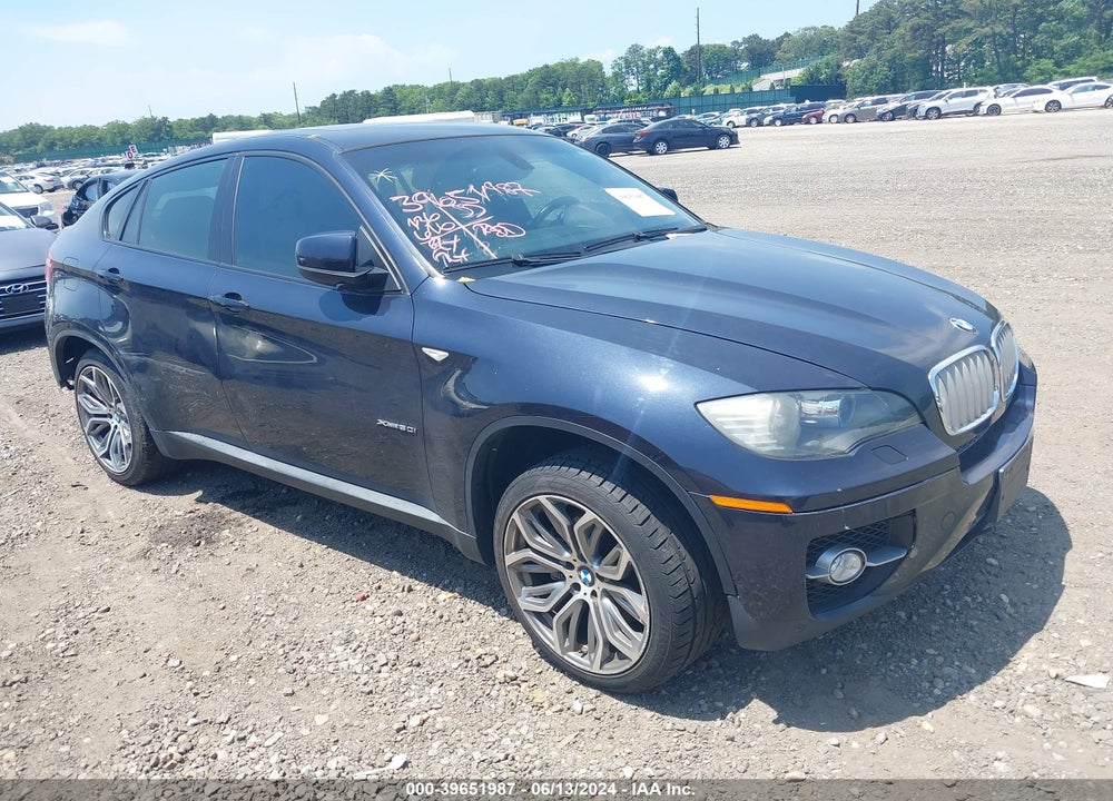 2009 BMW X6 XDRIVE50I VIN: 5UXFG83559LZ94294