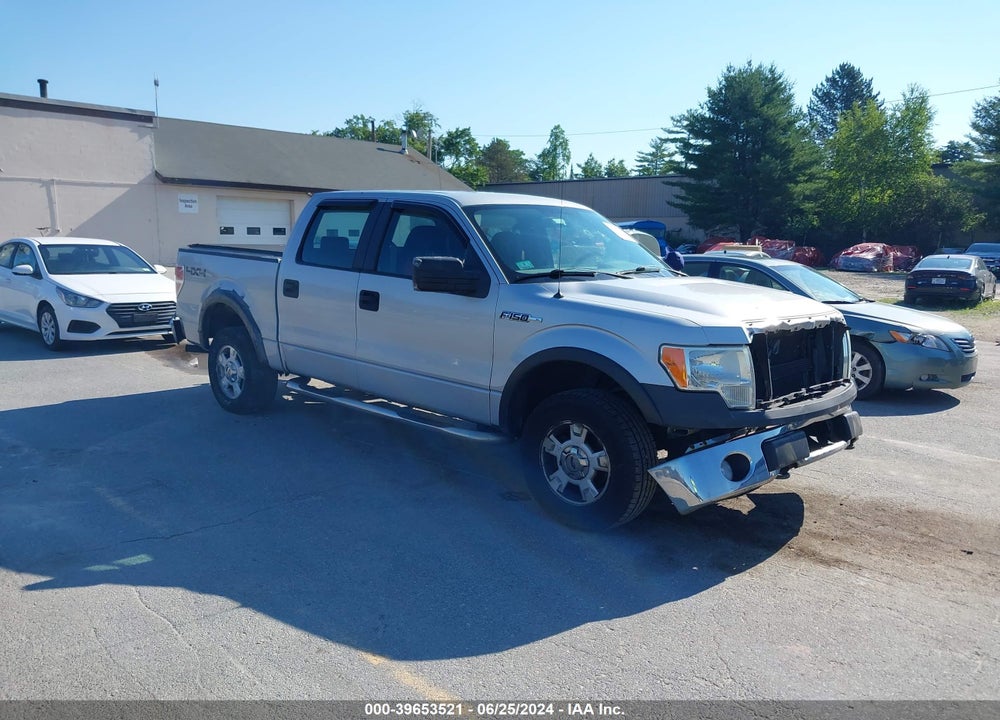 2009 FORD F-150 XL/XLT VIN: 1FTRW14879FA23698