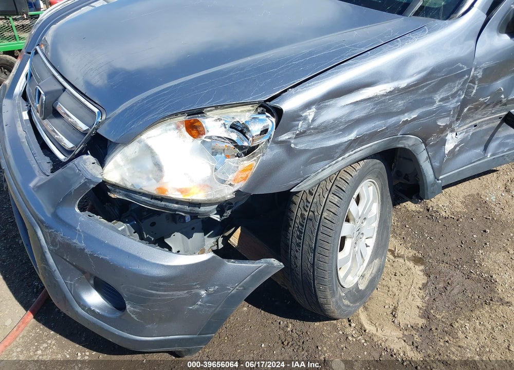 2006 HONDA CR-V SE VIN: JHLRD78946C008295