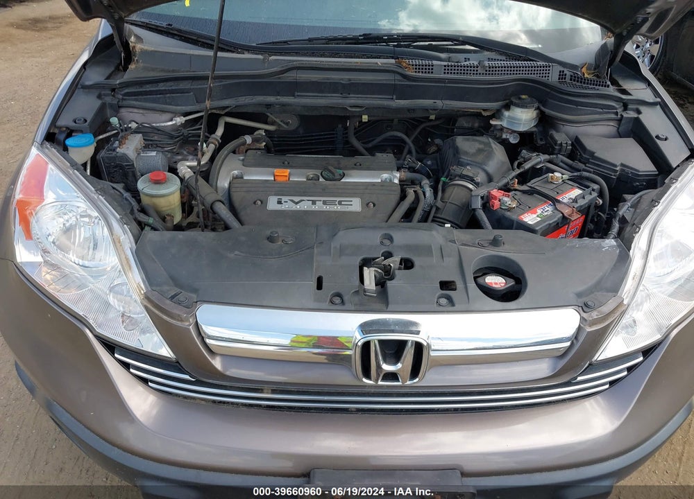 2009 HONDA CR-V EX-L VIN: 5J6RE48789L046537