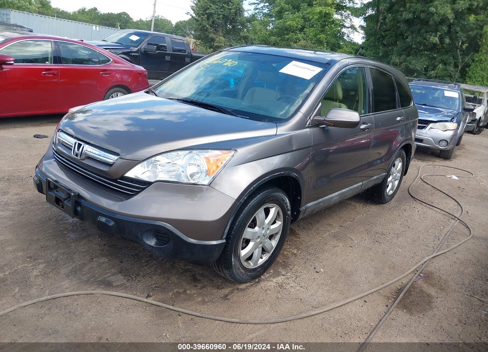 2009 HONDA CR-V EX-L VIN: 5J6RE48789L046537