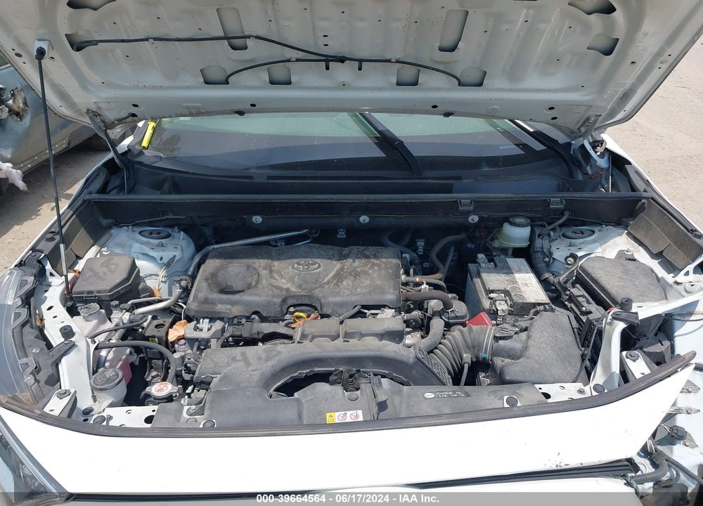 2019 TOYOTA RAV4 XLE VIN: JTMP1RFV4KJ004567