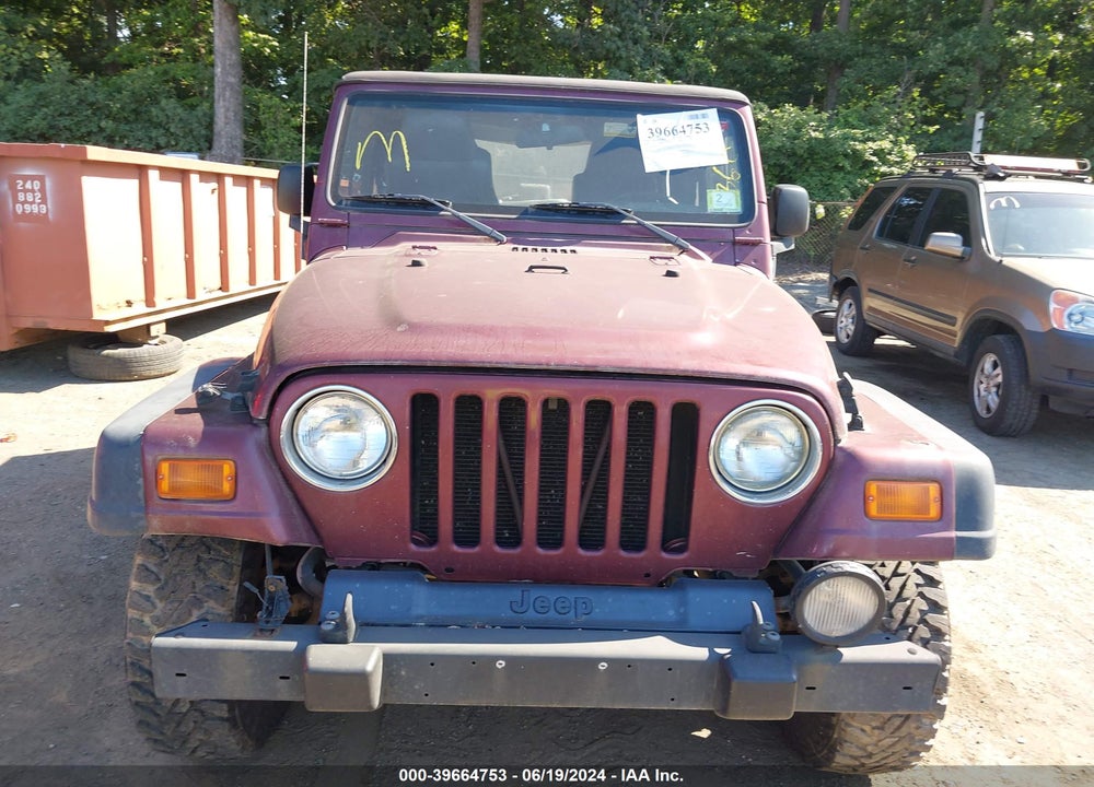 2003 JEEP WRANGLER RUBICON VIN: 1J4FA69S63P306608