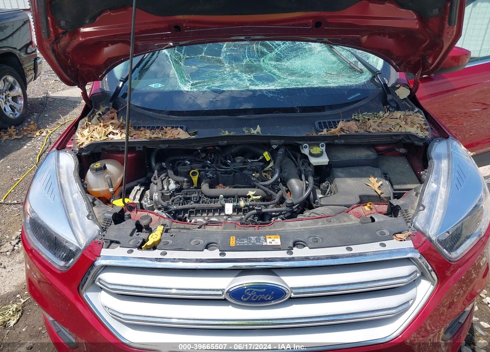 2019 FORD ESCAPE SE VIN: 1FMCU0GD6KUA11649