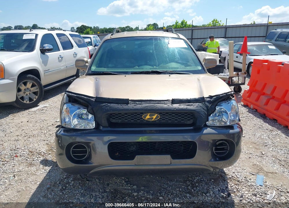 2004 HYUNDAI SANTA FE VIN: KM8SB12B74U690587