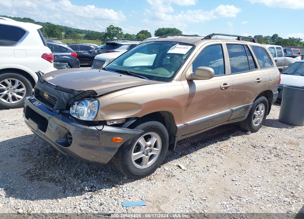 2004 HYUNDAI SANTA FE VIN: KM8SB12B74U690587