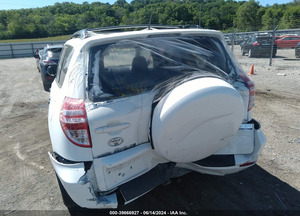 2010 TOYOTA RAV4 VIN: JTMBF4DV0AD034163